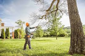 How Our Tree Care Process Works  in Winfield, IN